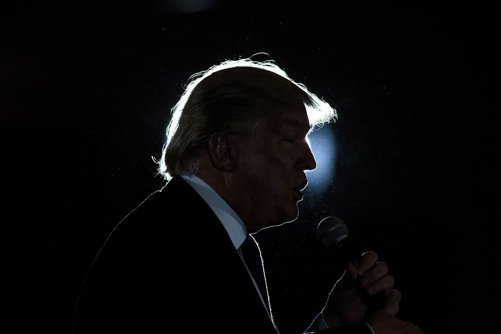 Donald Trump en un miting de les presidencials, a Ohio, el 2016. Fotografia de Brendan Smialowski. AFP