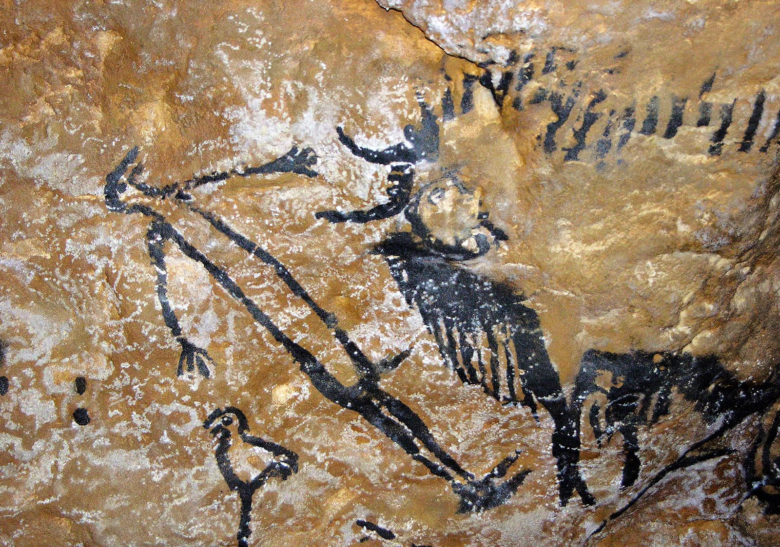 Escena rupestre paleolítica, a les coves de Lascaux, França, d'un home misteriós amb un toro i un ocell. Fotografia de VCG Wilson. Corbis. Getty Images.