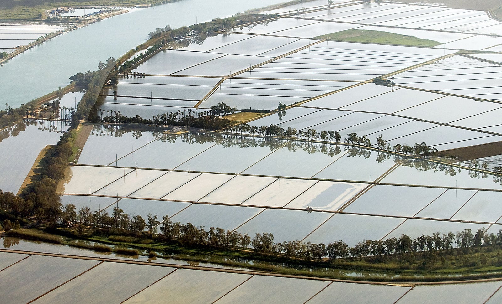 Vista aèria del Delta de l'Ebre amb els camps d'arròs anegats. Fotografia de Xavier Jubierre.